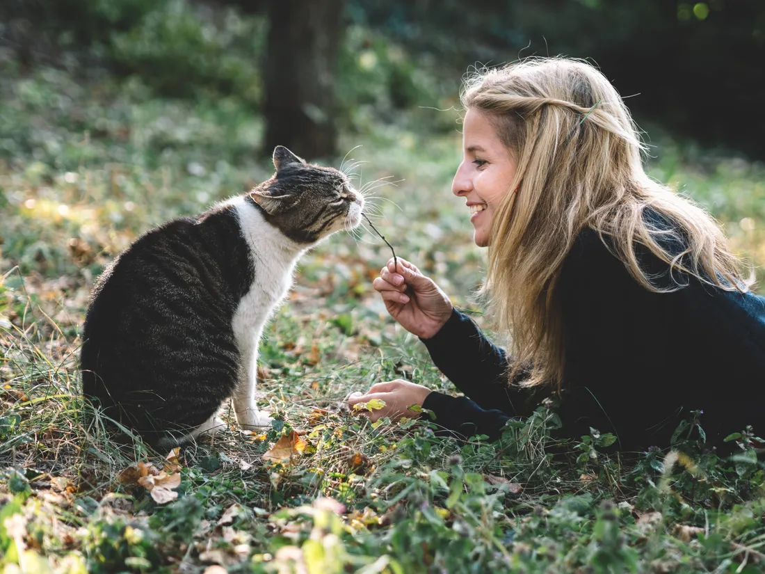 Frau spielt liebevoll mit ihrer Katze im Grünen