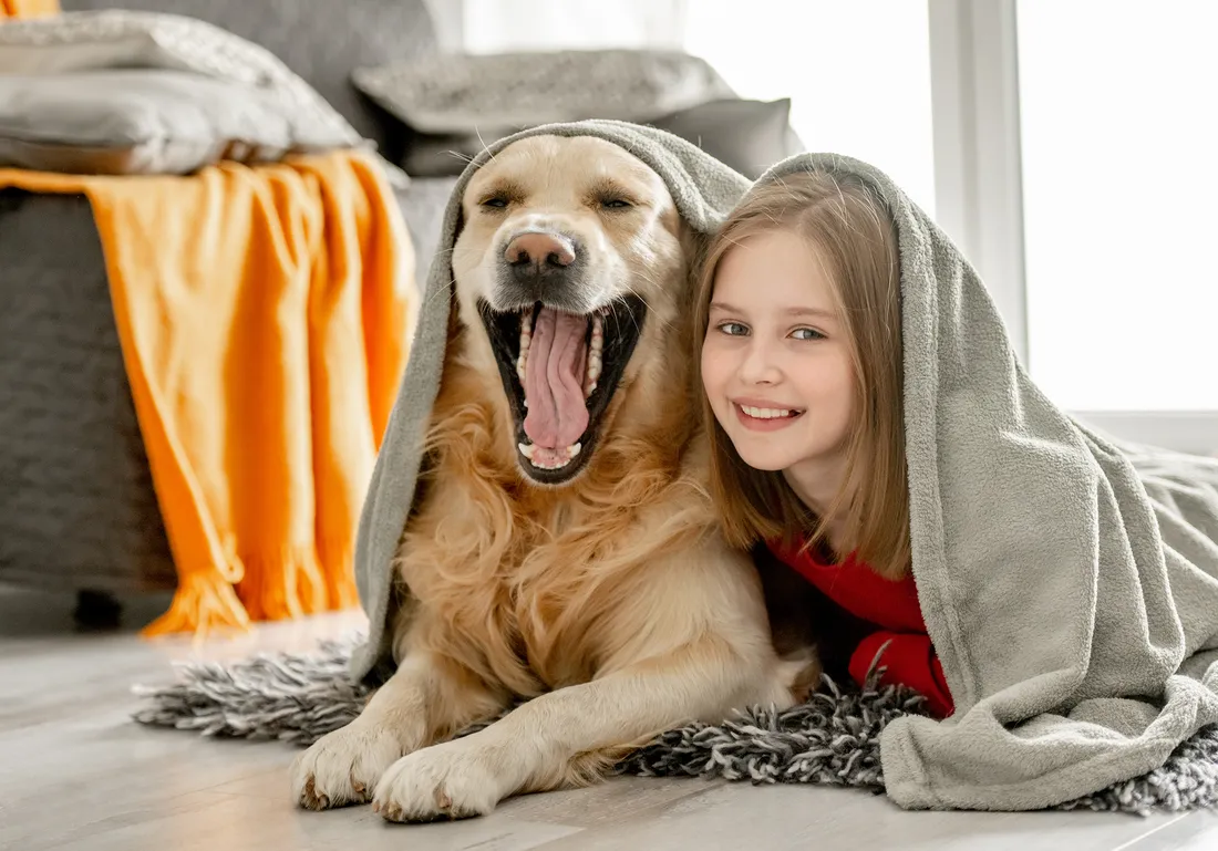 Hund schaut aufmerksam in die Kamera