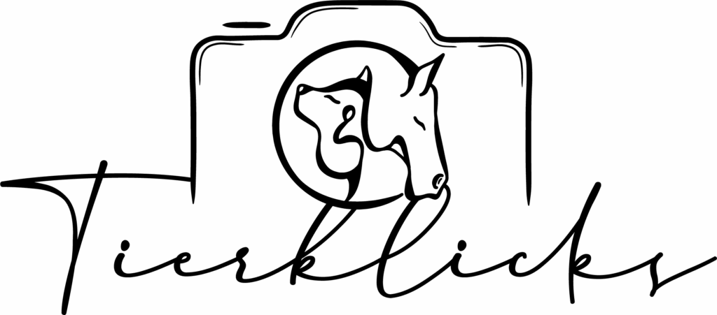 Tierklicks Logo